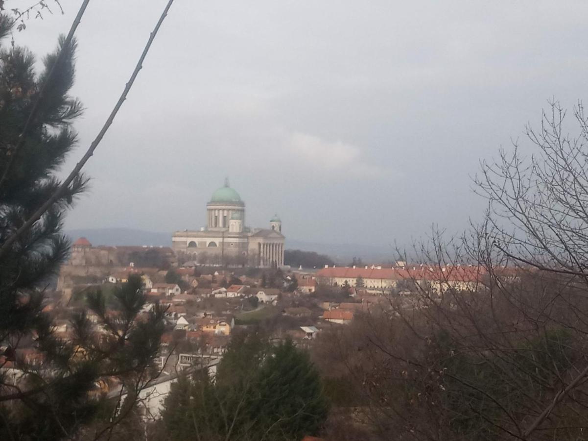 Esztergom Central المظهر الخارجي الصورة